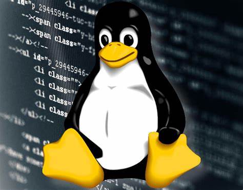 using the linux find command