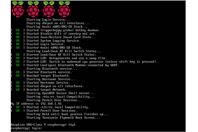 raspberry pi set static ip